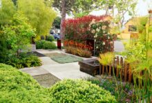 Curb Appeal - Landscaping - HAR.com