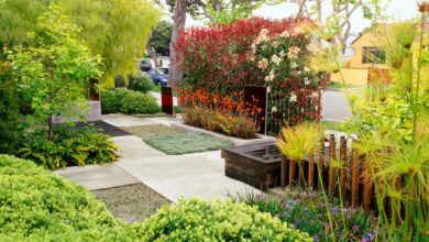 Curb Appeal - Landscaping - HAR.com